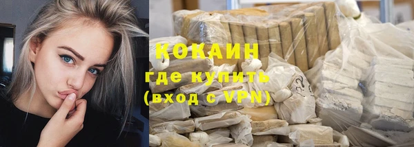 спайс Алексин