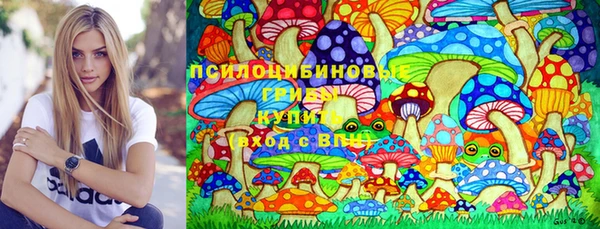 дмт Алзамай